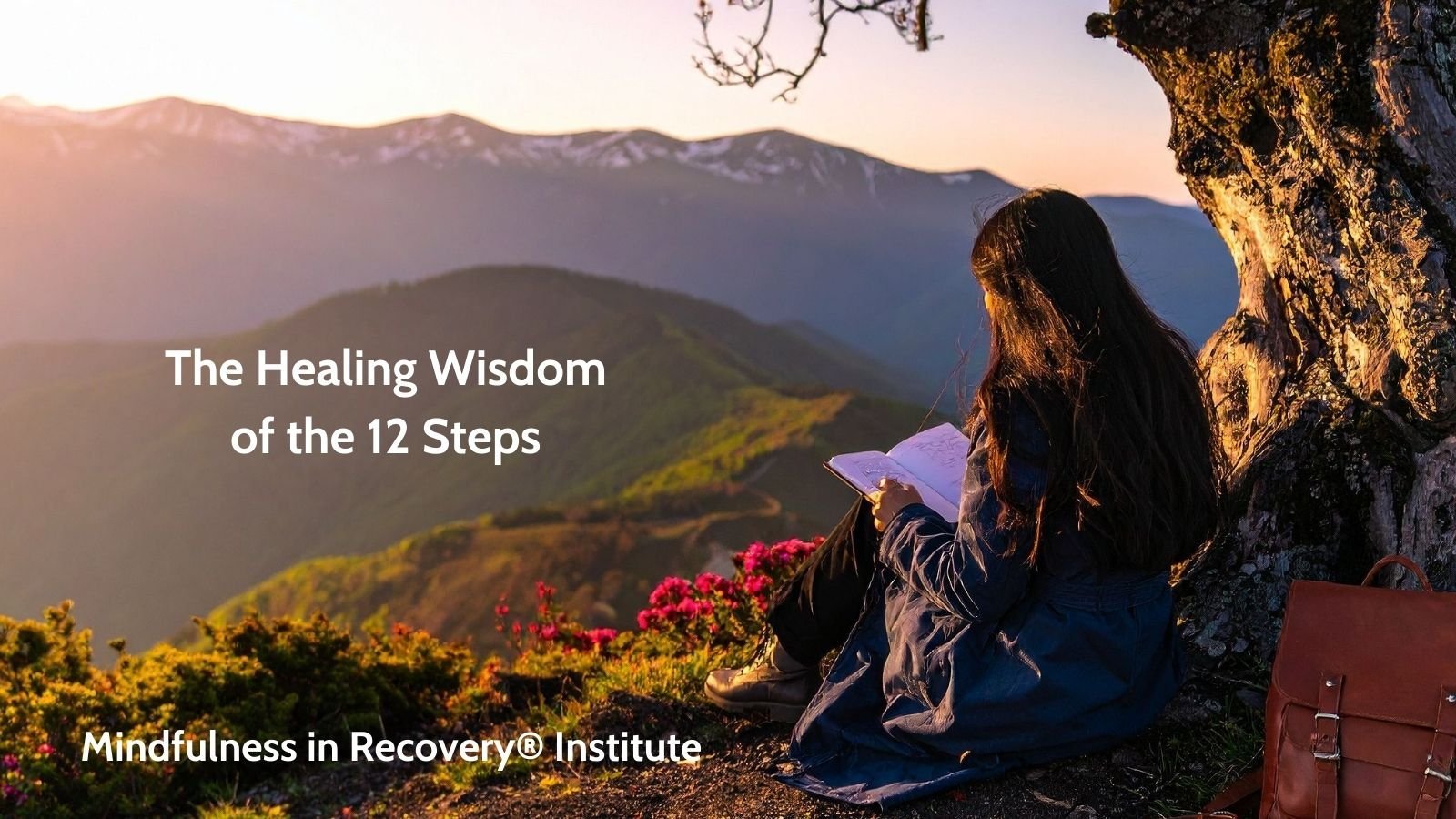 Healing Wisdom of the 12 Steps